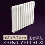 GZ-60×30圆双柱散热器